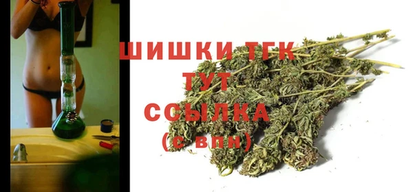 соль ск Бежецк