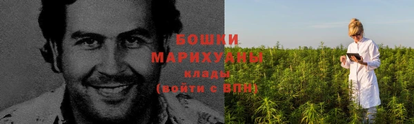 соль ск Бежецк