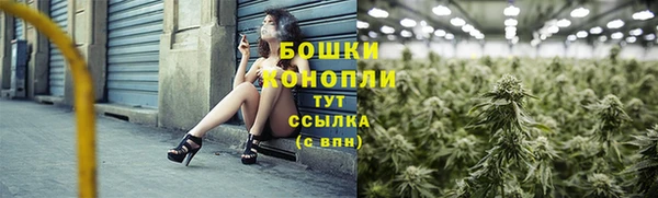 соль ск Бежецк