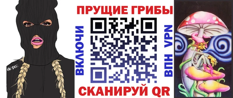 Галлюциногенные грибы Magic Shrooms Лыткарино