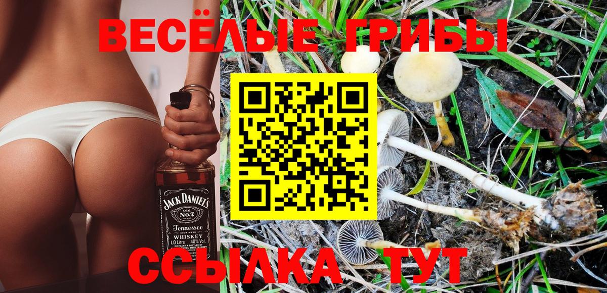 Псилоцибиновые грибы мицелий  Лыткарино  Галлюциногенные грибы мицелий 